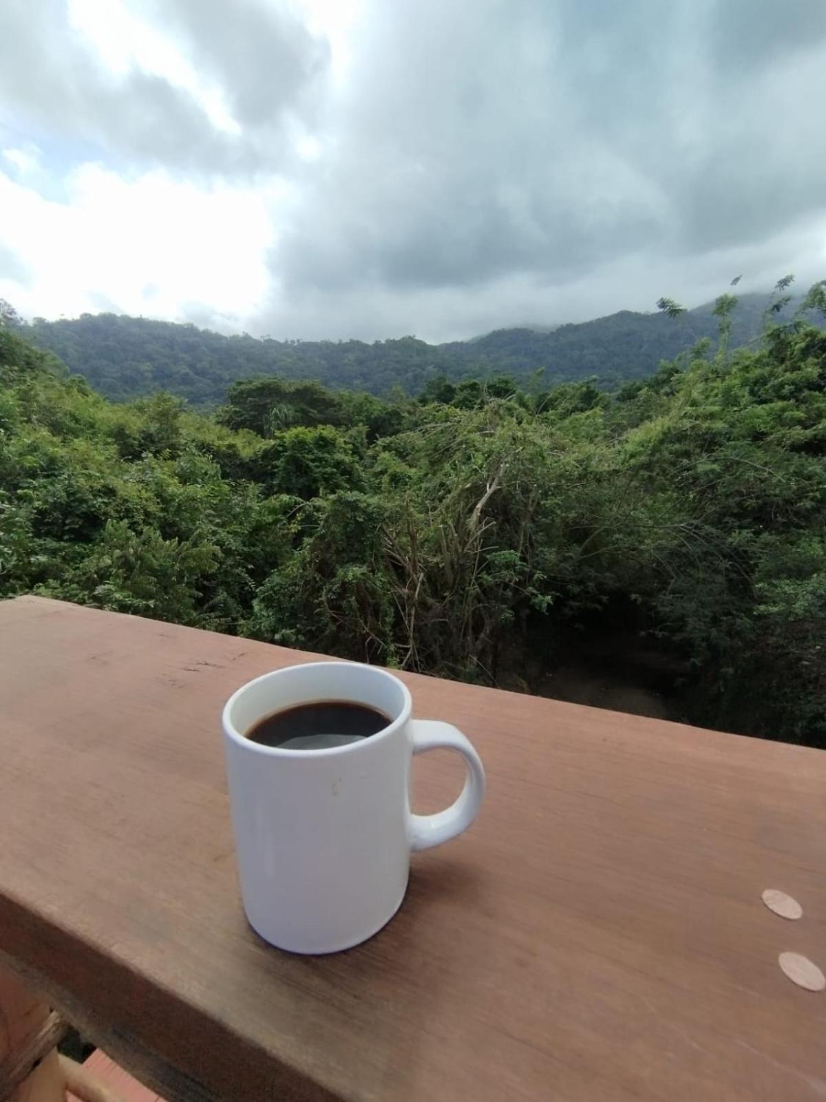 Selva Maria Tayrona'S Hostel Santa Marta  Eksteriør bilde